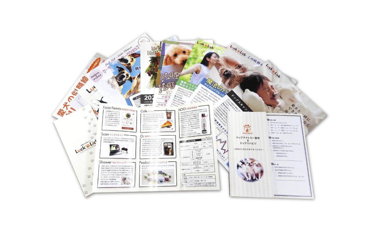 チラシ・リーフレット